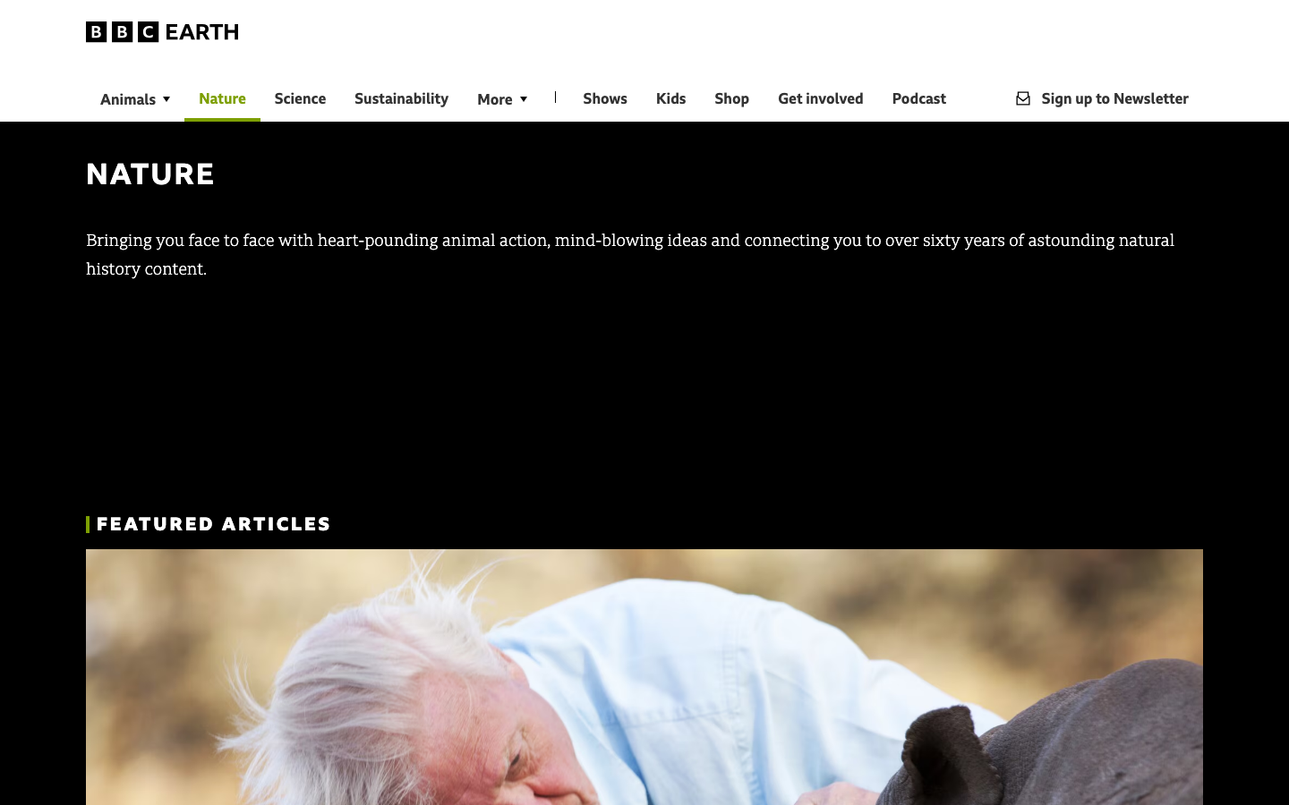 Bbcearth - The page uses a large, immersive photograph to immediately establish the subject matter. Minimal text overlays provide context, prioritizing visual impact and a sense of documentary storytelling. The overall feel is authoritative and informative.  ·  nature documentary, bbc earth, polar bears, wildlife photography, environmental media, nature film, animal portrait, arctic wildlife