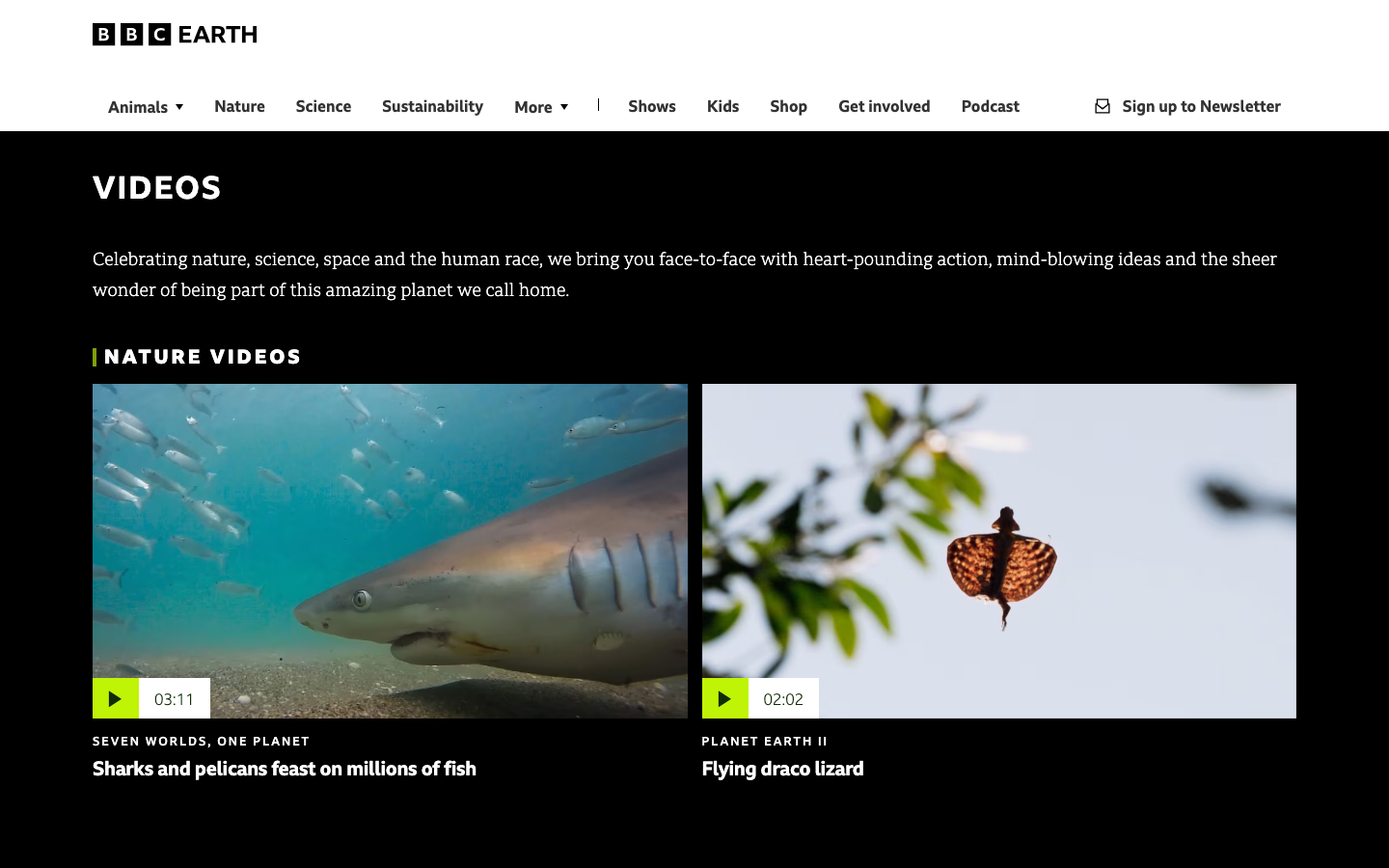 The page uses a large, immersive photograph to immediately establish the subject matter. Minimal text overlays provide context, prioritizing visual impact and a sense of documentary storytelling. The overall feel is authoritative and informative. · nature documentary, bbc earth, polar bears, wildlife photography, environmental media, nature film, animal portrait, arctic wildlife