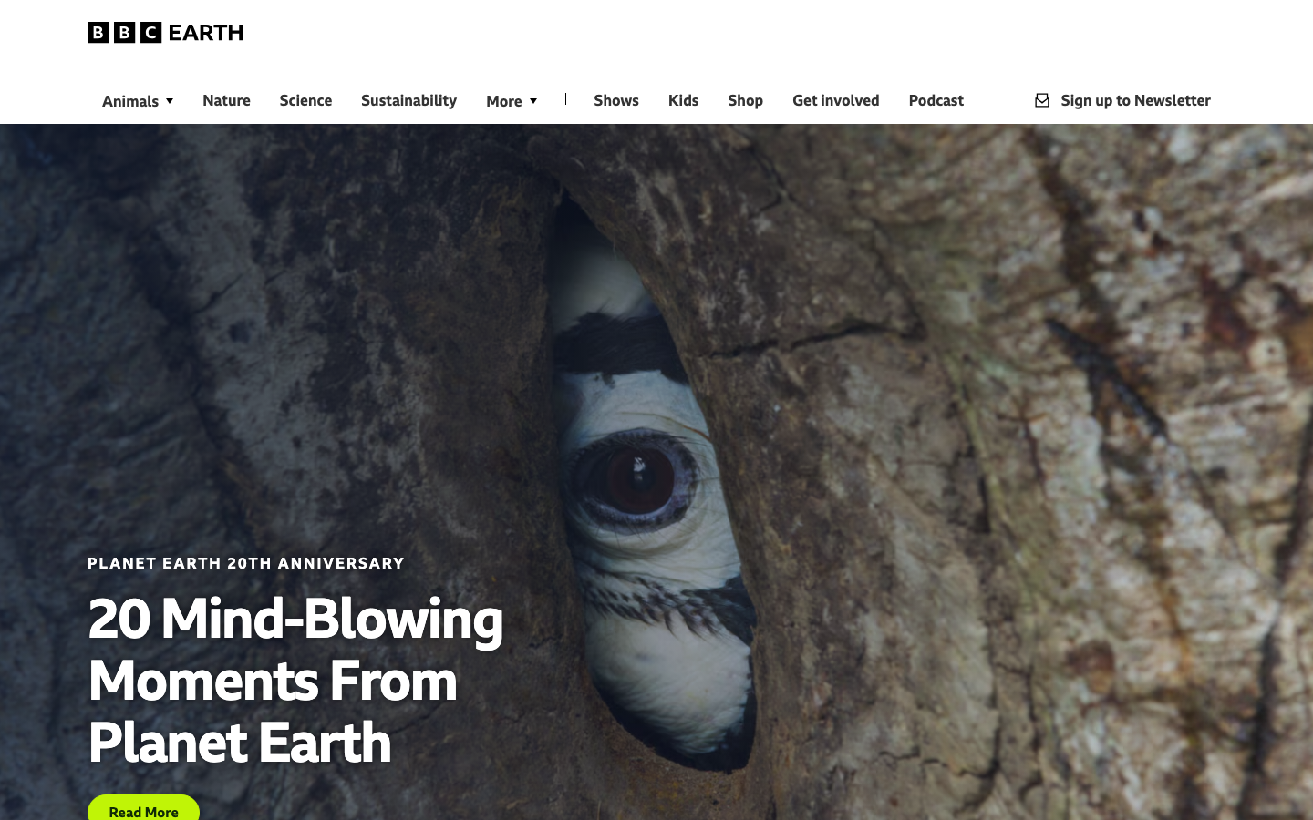 Bbcearth - mobile