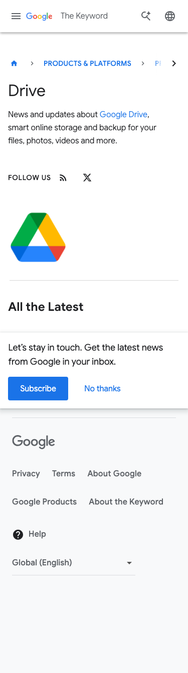 Blog Google - mobile full page