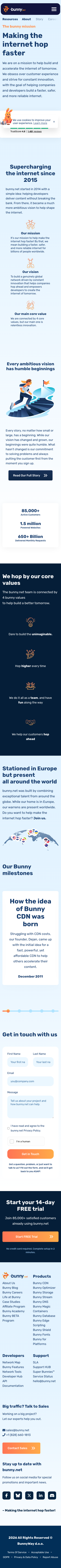 Bunny — About - mobile full page