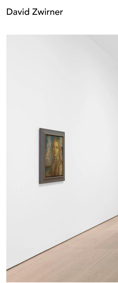 Davidzwirner - mobile full page