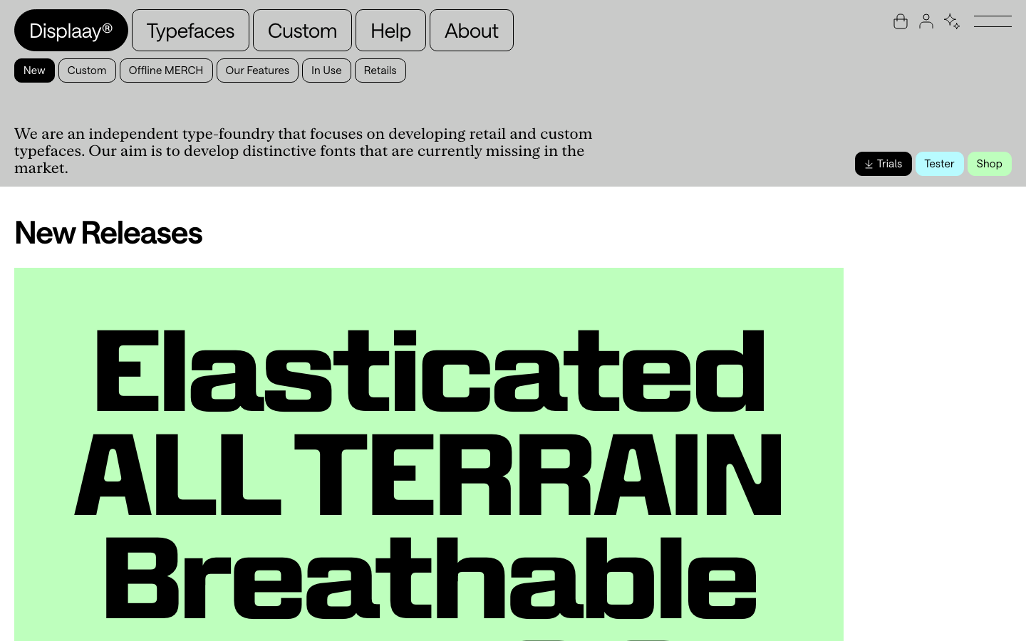 The page prioritizes typographic hierarchy and ample negative space. The bold, impactful headline dominates, establishing a strong visual presence with a clean, functional layout. · type foundry, typography showcase, font design, display fonts, type specimen, modern typography, geometric fonts, headline fonts, design system, font samples