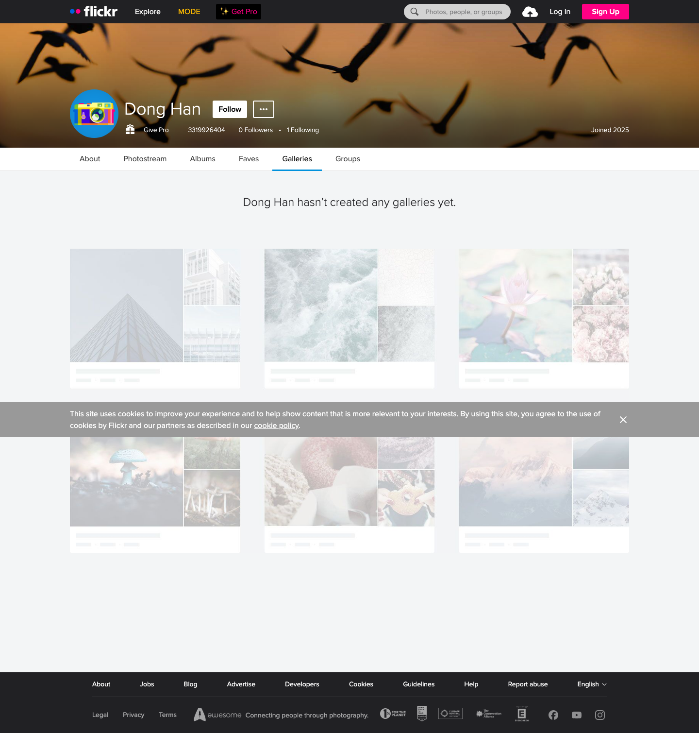 Flickr - full page scroll