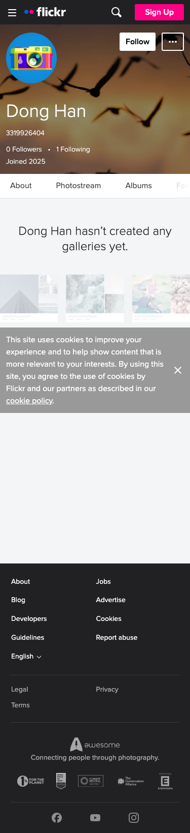 Flickr - mobile full page