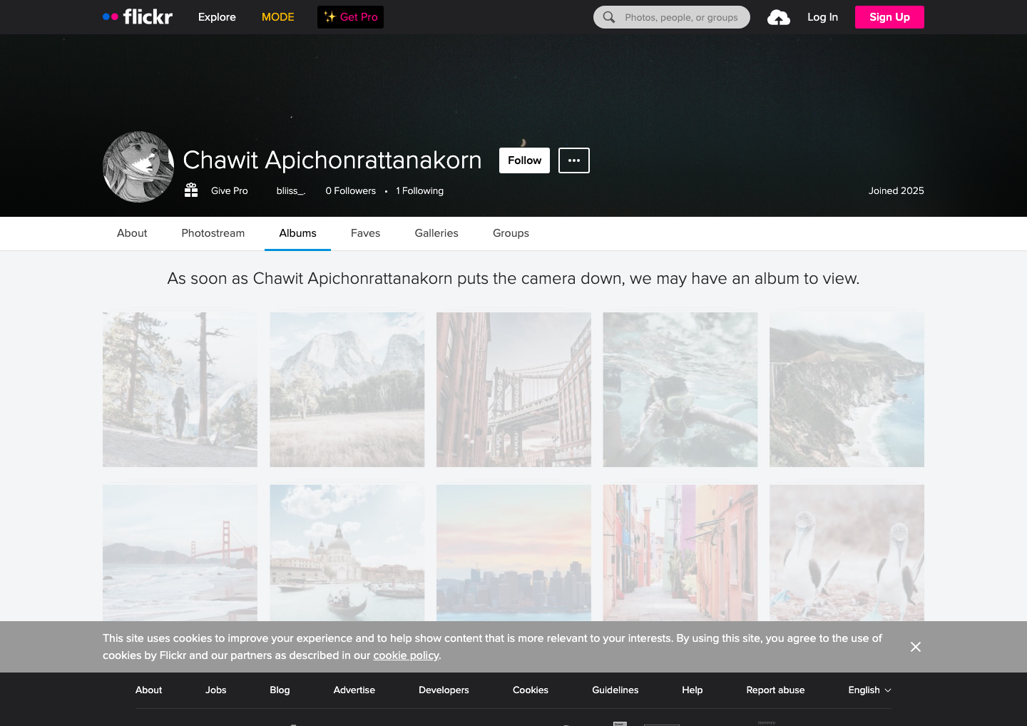 Flickr - full page scroll