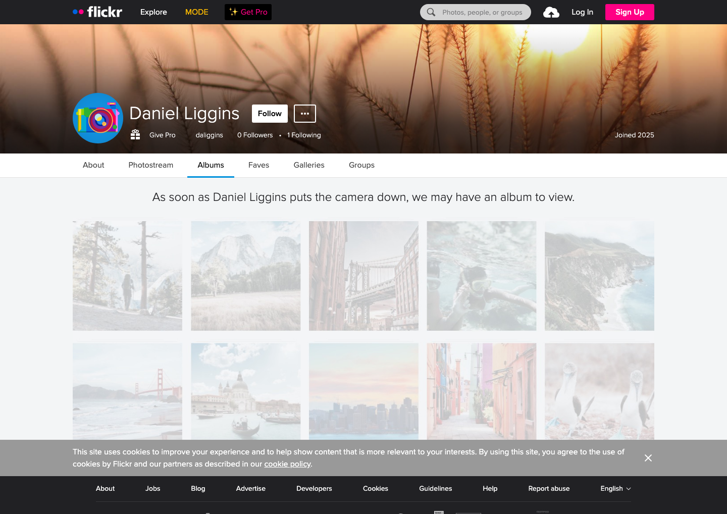Flickr - full page scroll