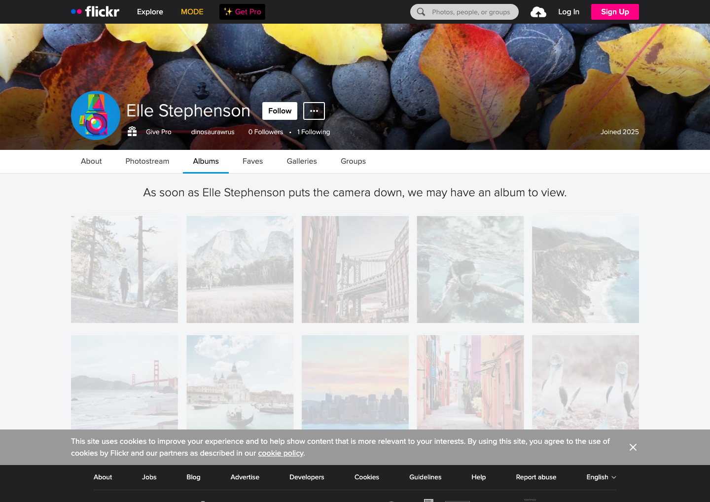 Flickr - full page scroll