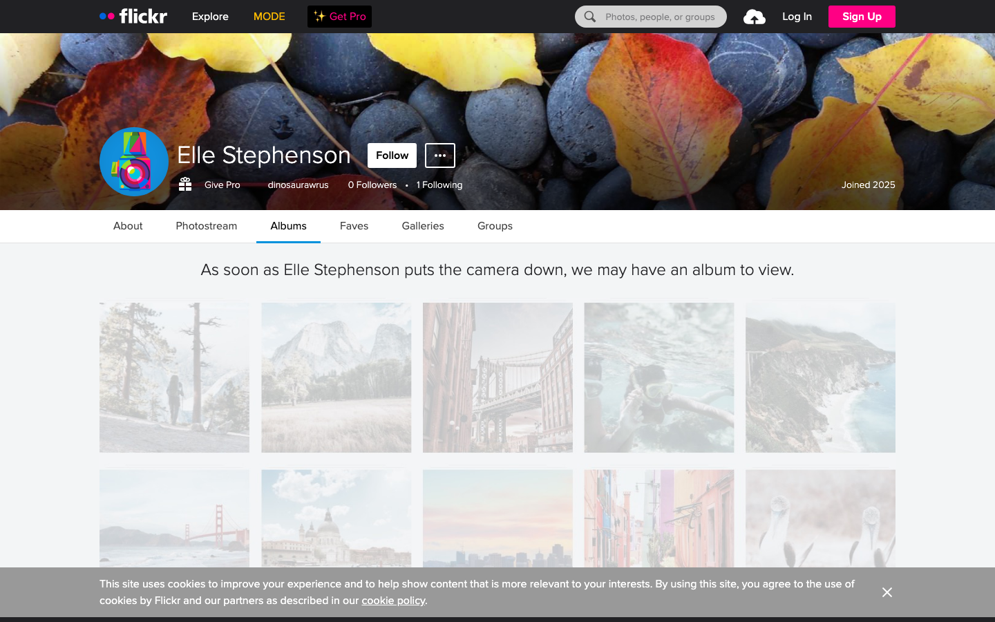 Flickr - Other