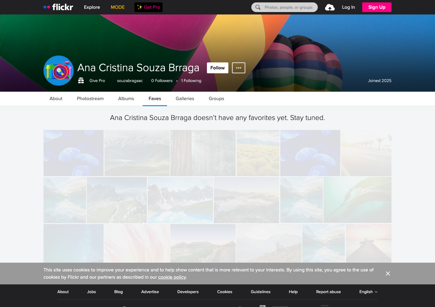Flickr - full page scroll