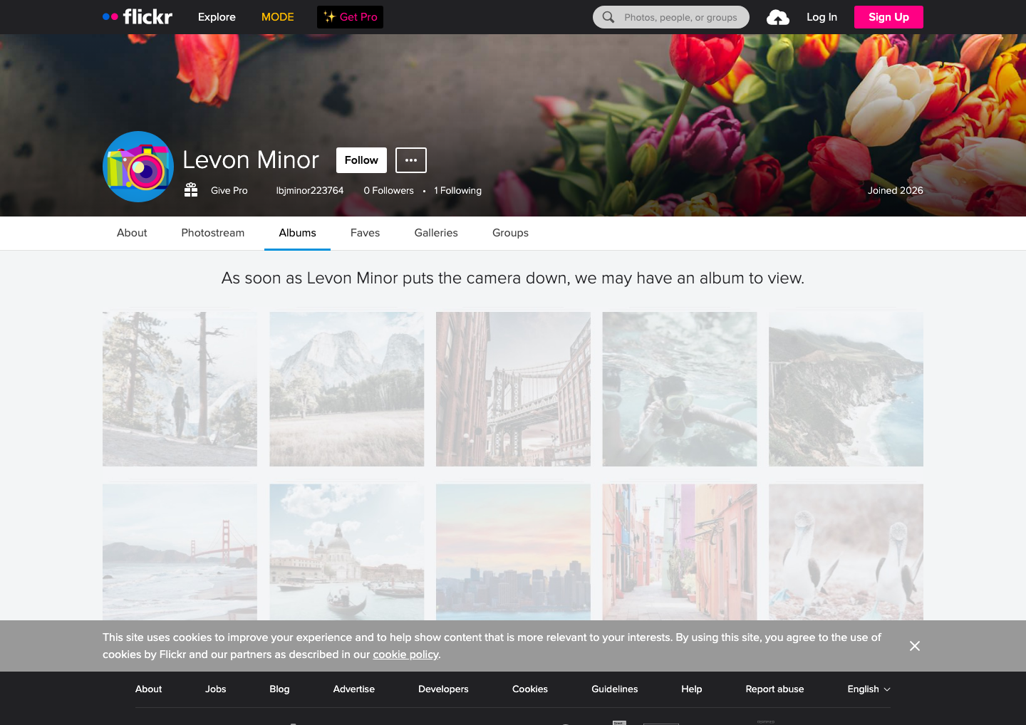 Flickr - full page scroll