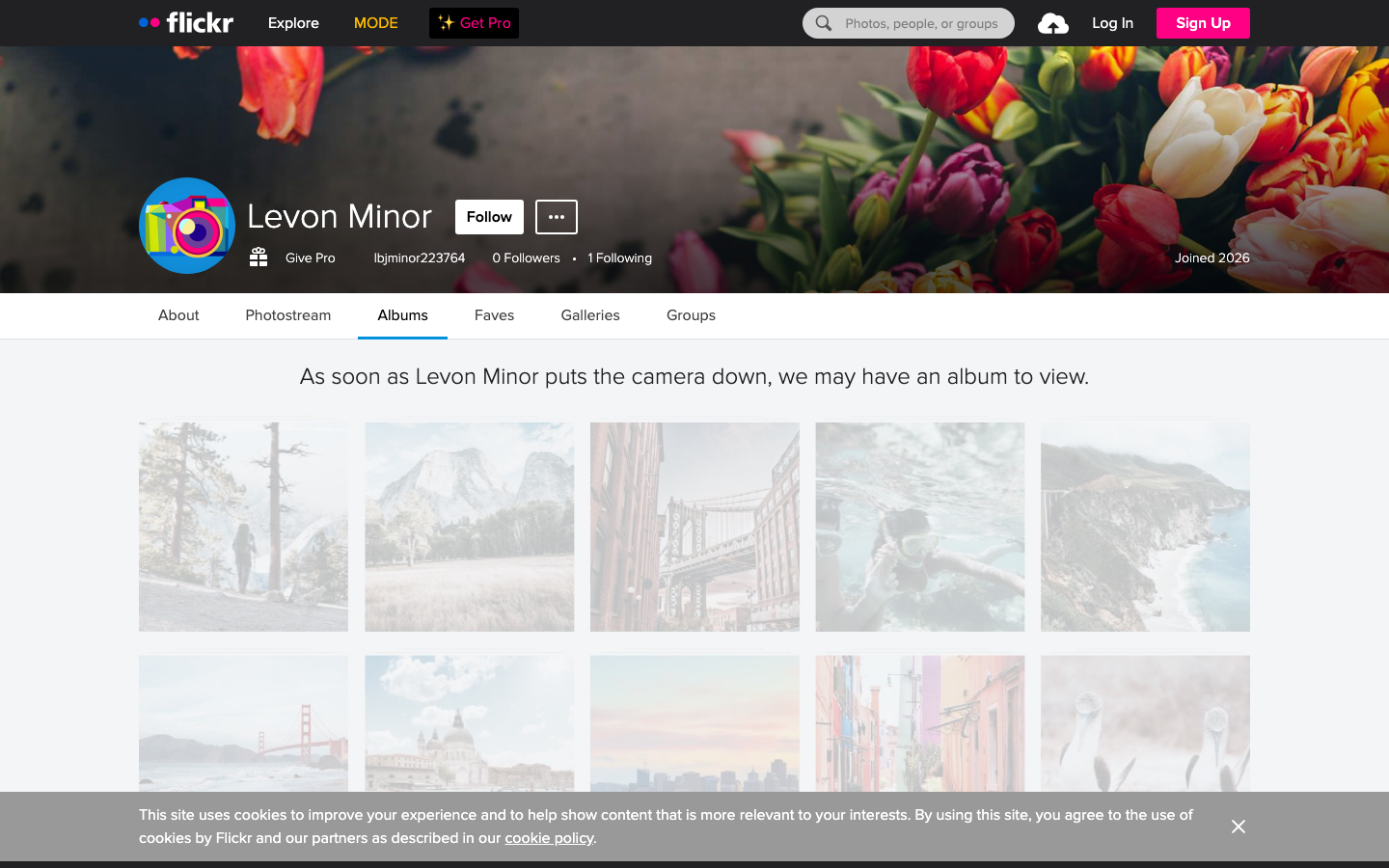 Flickr - Other