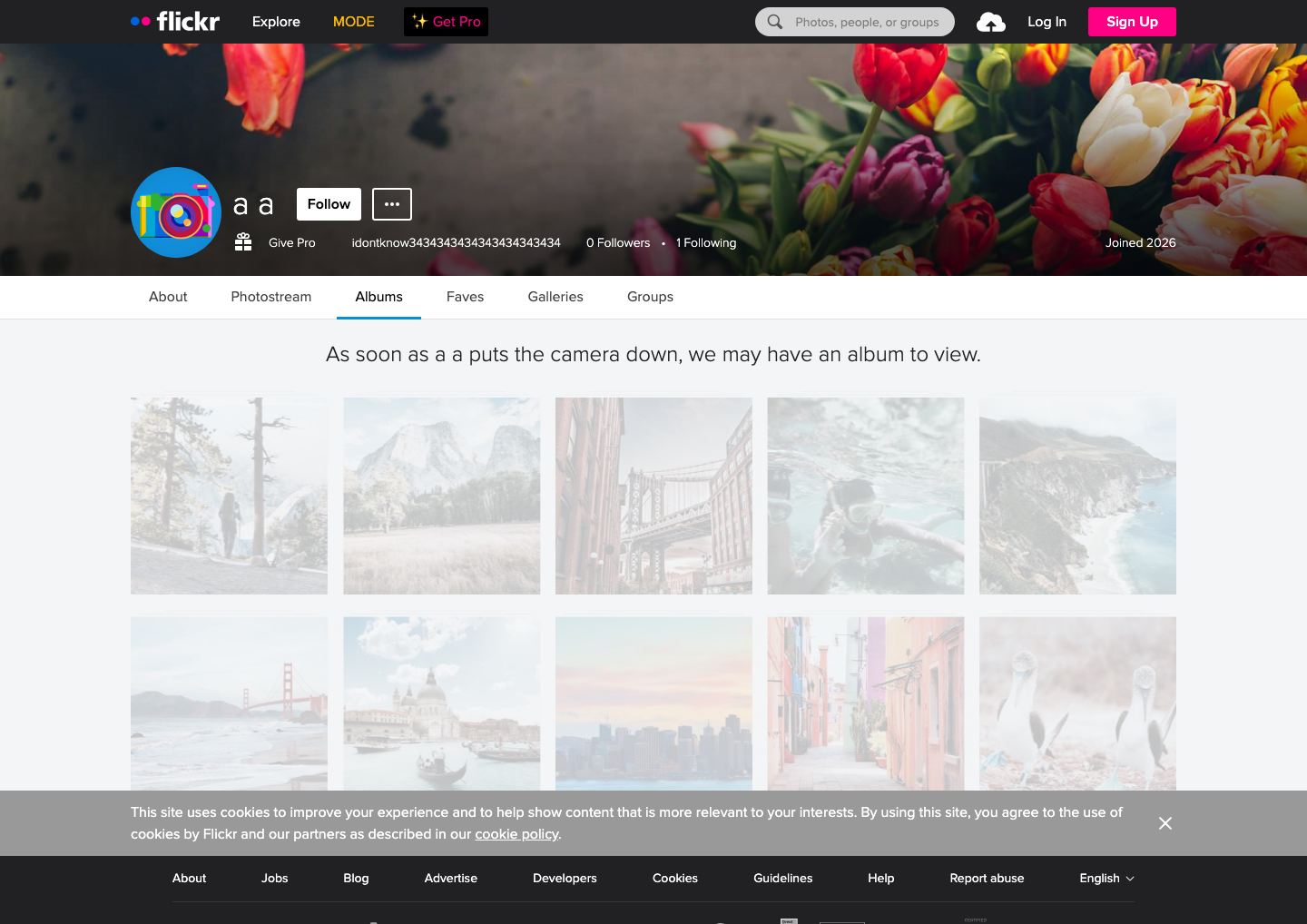 Flickr - full page scroll
