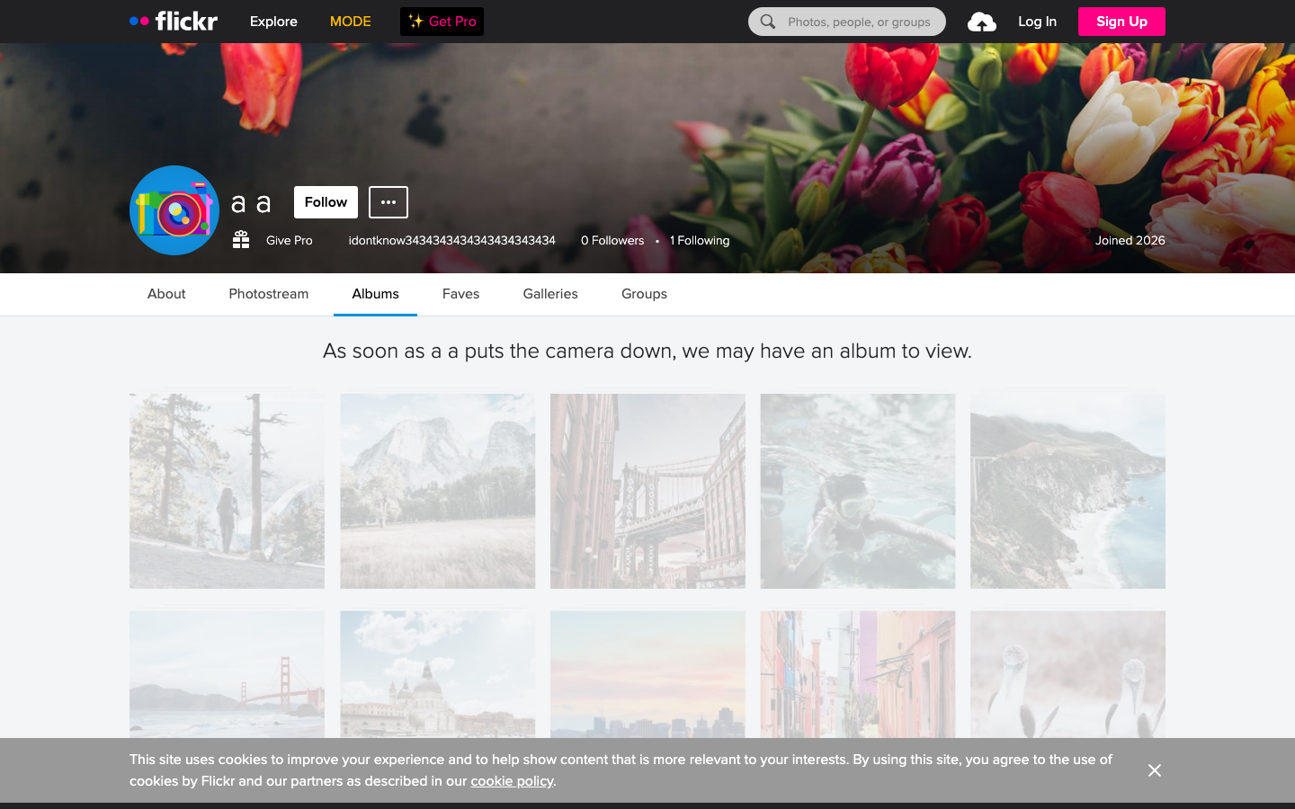 Flickr - Other