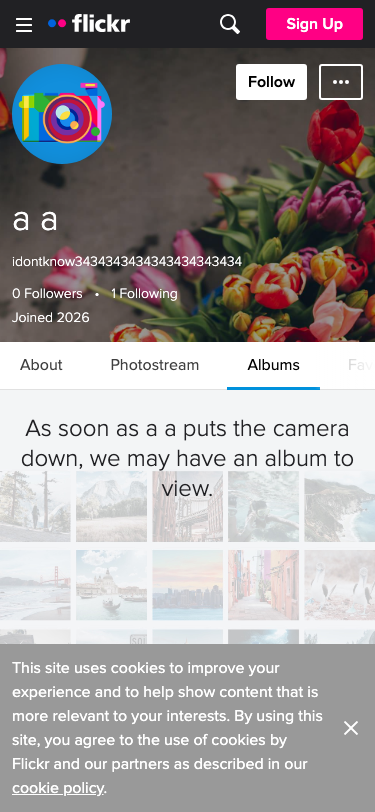 Flickr - mobile