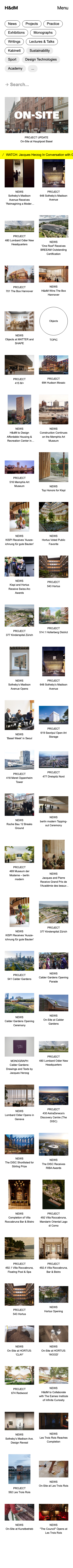 Herzogdemeuron - mobile full page