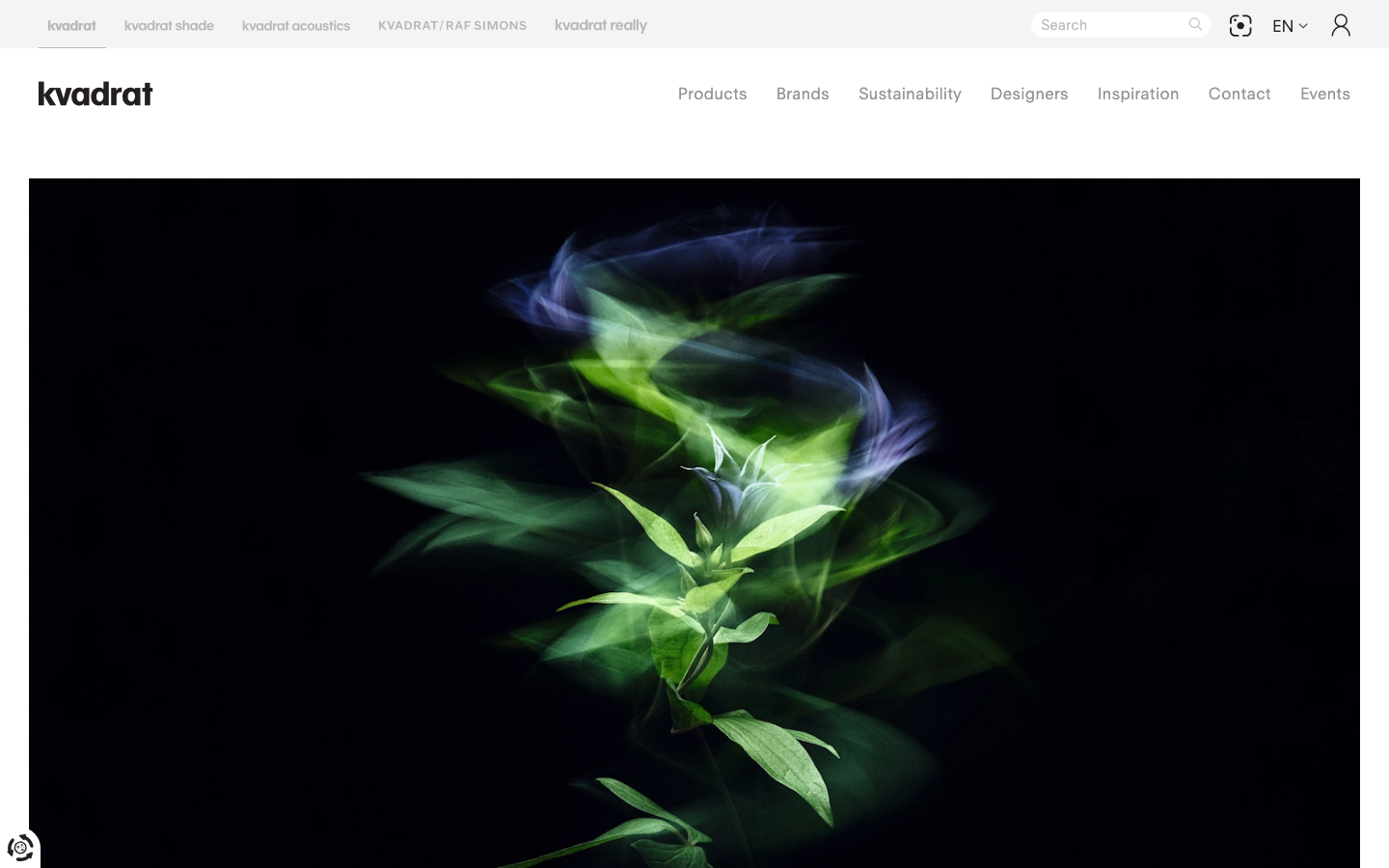 The image is a dramatic, slow-motion shot of a plant in bloom, rendered in a painterly, almost ethereal style. The stark black background emphasizes the delicate, translucent forms, creating a sense of quiet intensity. The overall effect is sophisticated and artistic. · plant photography, editorial portfolio, minimalist photography, black background, slow motion, nature photography, studio photography, fine art photography