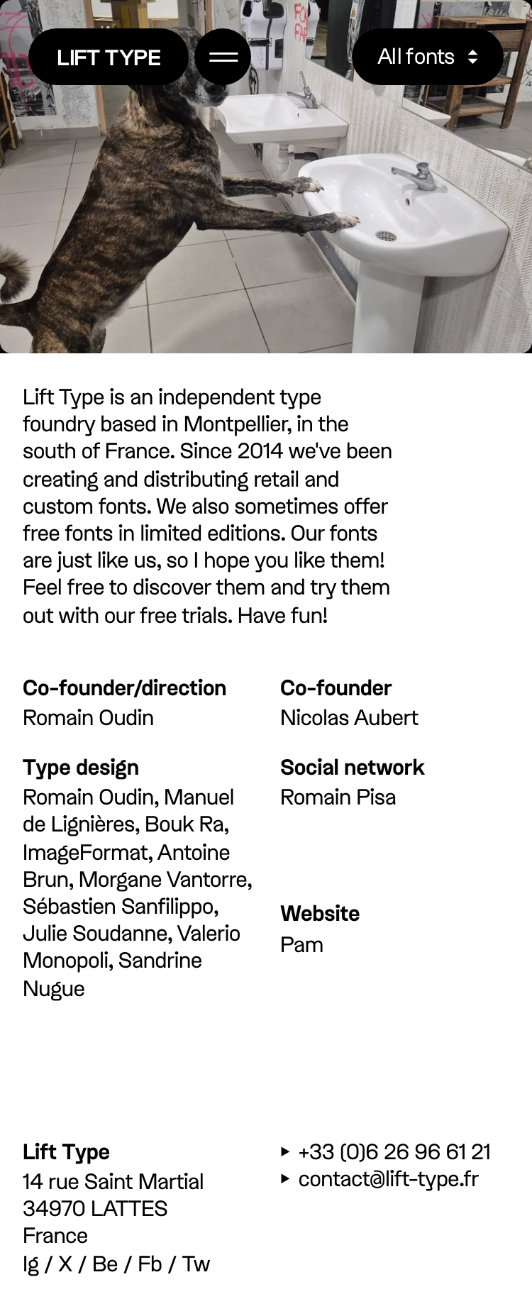 Lift Type · About - mobile full page