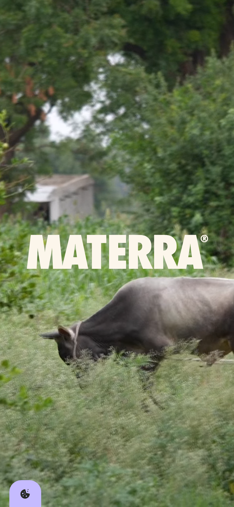 Materra - mobile
