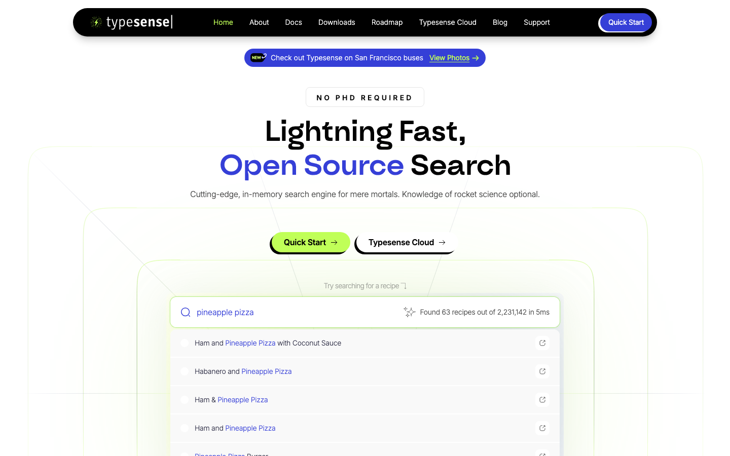 Typesense - The page uses a clean, grid-based layout with a focus on clarity and functionality. Typography is straightforward and legible, with ample white space creating a sense of openness. The overall mood is professional and efficient.  ·  search engine, open source, developer tools, typesense, search platform, fast search, in-memory search