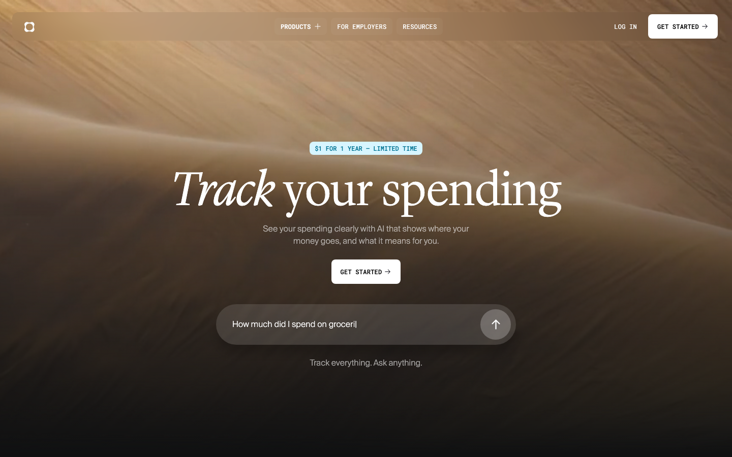 A high-end aesthetic featuring a full-bleed abstract organic background with a centered typographic hierarchy. The use of a refined serif for the headline contrasts with a clean sans-serif for the UI elements. · fintech hero, ai search bar, luxury serif typography, minimalist landing page, warm abstract background